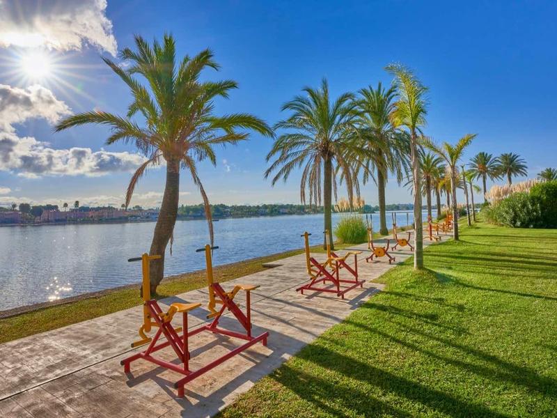 Palm trees along a riverbank with lounge chairs and green grass under a sunny sky.