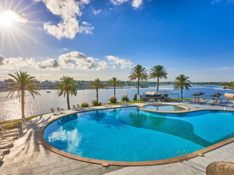 Large pool with palm trees and sea view on a sunny day