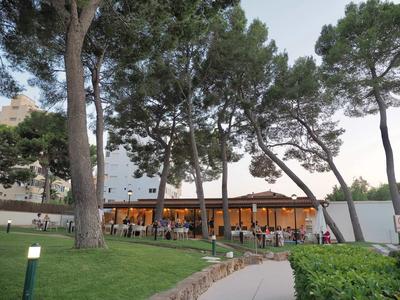 Modern restaurant with terrace and many guests, surrounded by tall trees and green areas.