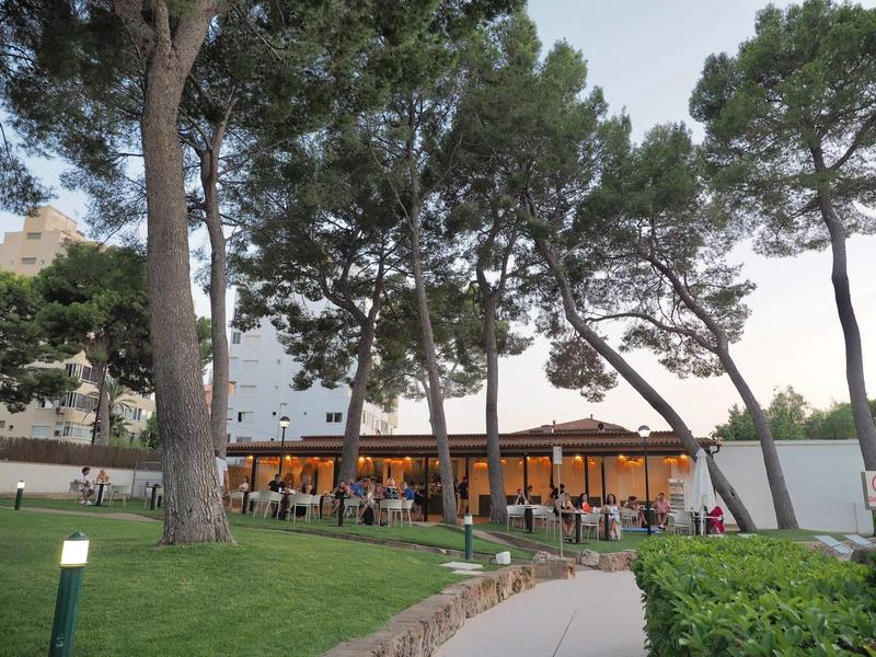 Modern restaurant with terrace and many guests, surrounded by tall trees and green areas.
