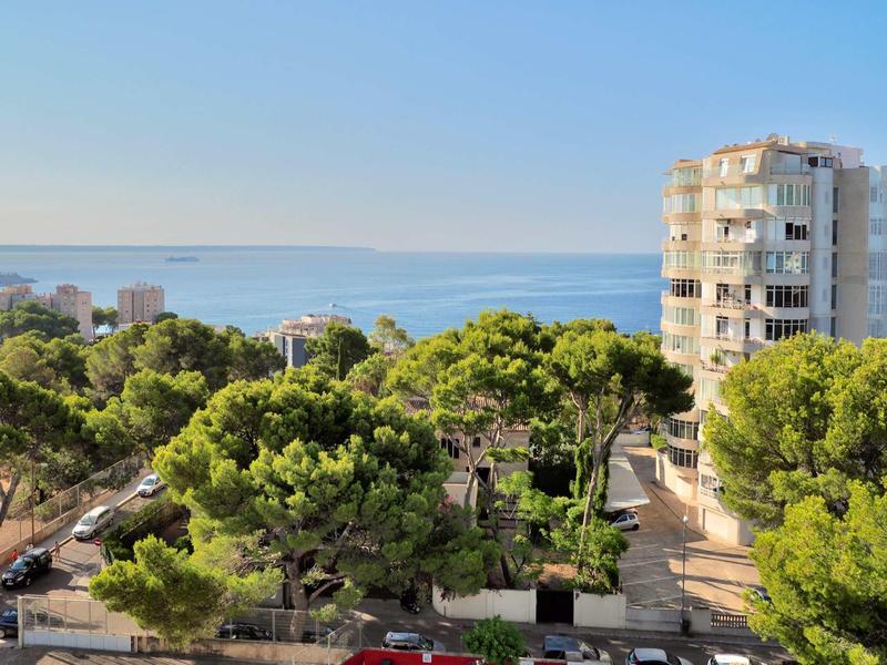 View of green trees and buildings with the sea in the background under clear sky.