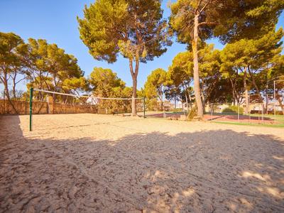 Sandplatz mit Volleyballnetz umgeben von Bäumen und sonnigem Himmel in einem Park.