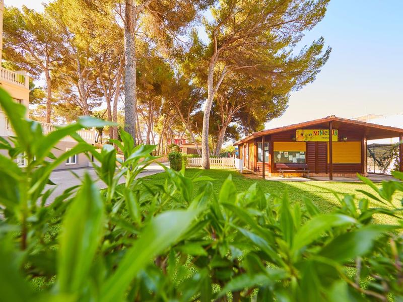 Zielone krzewy na pierwszym planie z drzewami i małym budynkiem w tle w słoneczny dzień.