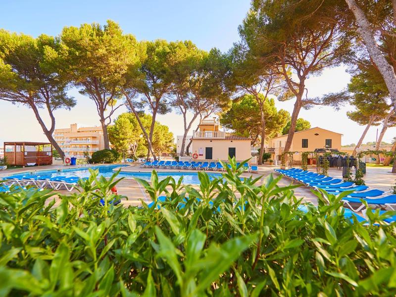 Zewnętrzny basen z niebieskimi leżakami i wysokimi sosnami przy hotelu.