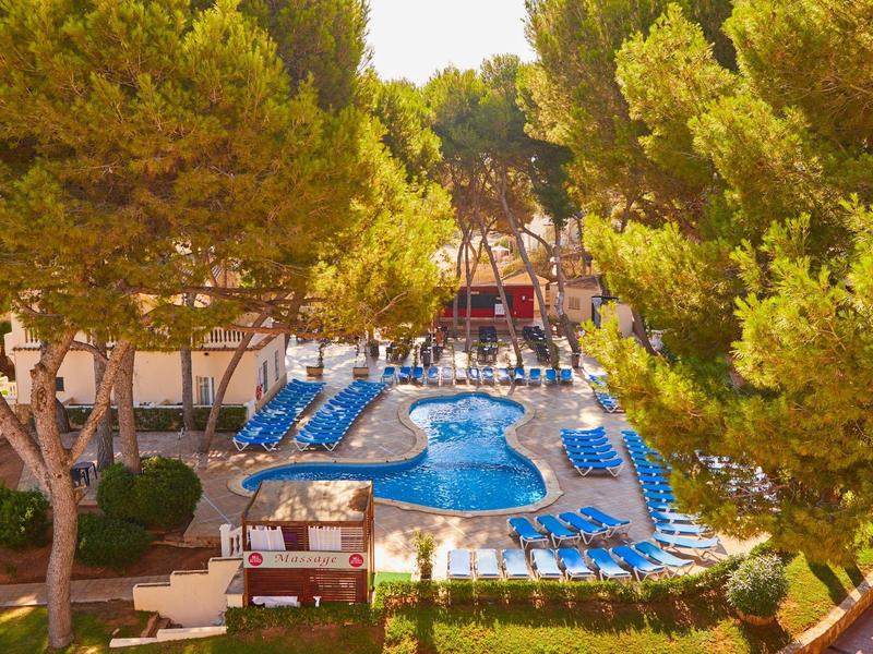 Otwarty basen otoczony zielonymi drzewami i niebieskimi leżakami.