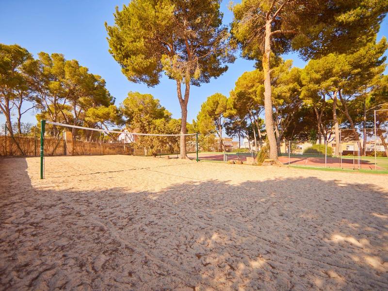 Piaszczyście boisko do siatkówki plażowej otoczone sosnami pod jasnym niebem.