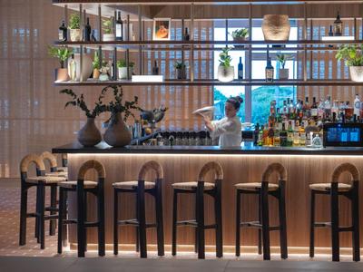 Área de bar moderna en hotel con mostrador de madera, taburetes y plantas decorativas.