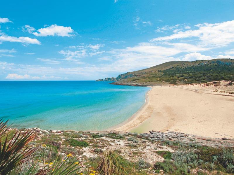 Plage de sable à côté de la mer bleue claire et d'une colline végétalisée par une journée ensoleillée.
