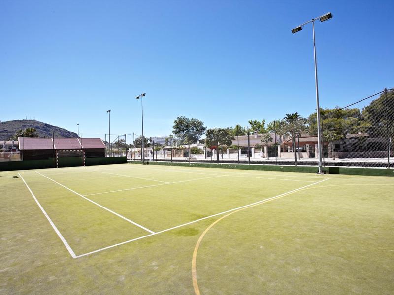 Leerer Tennisplatz mit grünem Belag, weißen Linien und umgeben von Bäumen und Gebäuden bei klarem Himmel.
