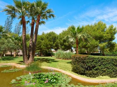 Green hotel garden with palm trees, pond, and clear blue sky