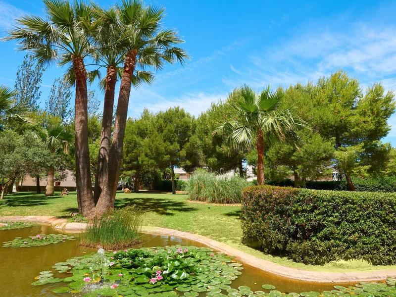 Green hotel garden with palm trees, pond, and clear blue sky