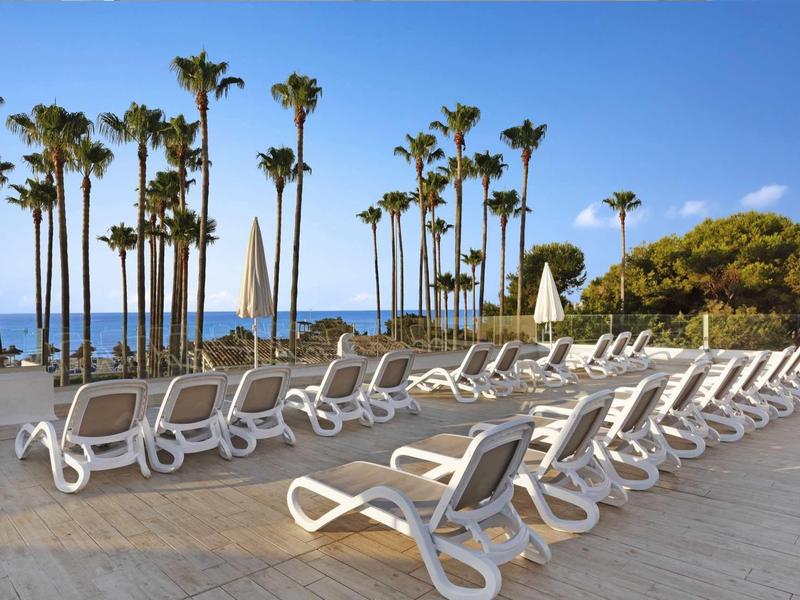 Lehátka vedle sebe na terase s výhledem na moře a palmy.