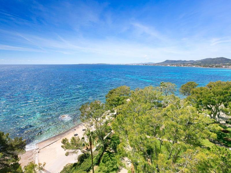 Čistá mořská voda, zelené stromy a pobřeží pod modrou oblohou během slunečného dne.