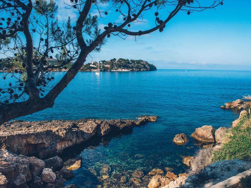 Klarer blauer Meerblick mit Felsen unter Wasser, Bäumen im Vordergrund und bewachsenem Ufer.