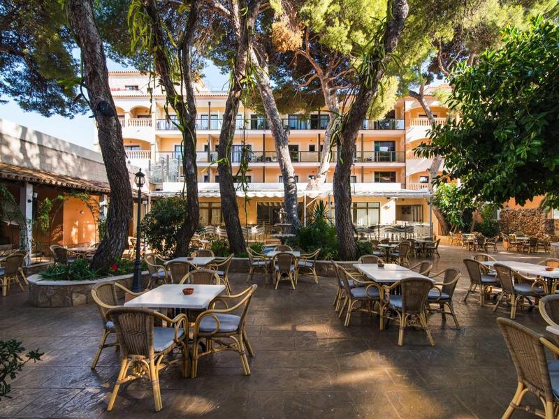 Hotel outdoor area with tables and chairs under tall trees.