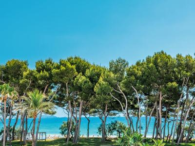 Grüne Bäume am Strand mit blauem Himmel und Meer im Hintergrund, sonniger Tag.