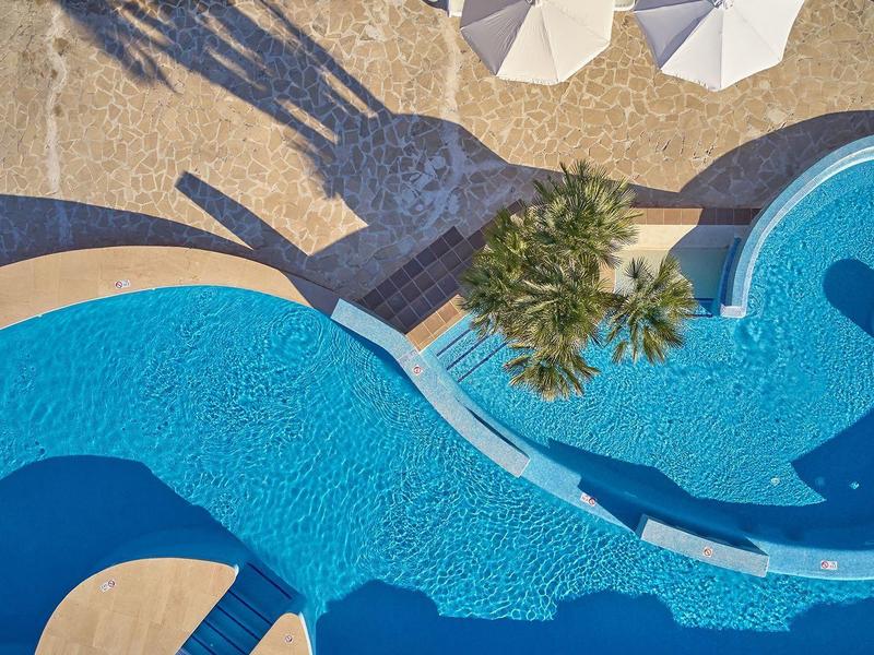 Piscine bleue courbe avec chaises longues et ombres de palmiers par une journée ensoleillée.
