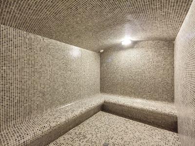 Steam room with mosaic tiles and built-in benches under a vaulted ceiling.