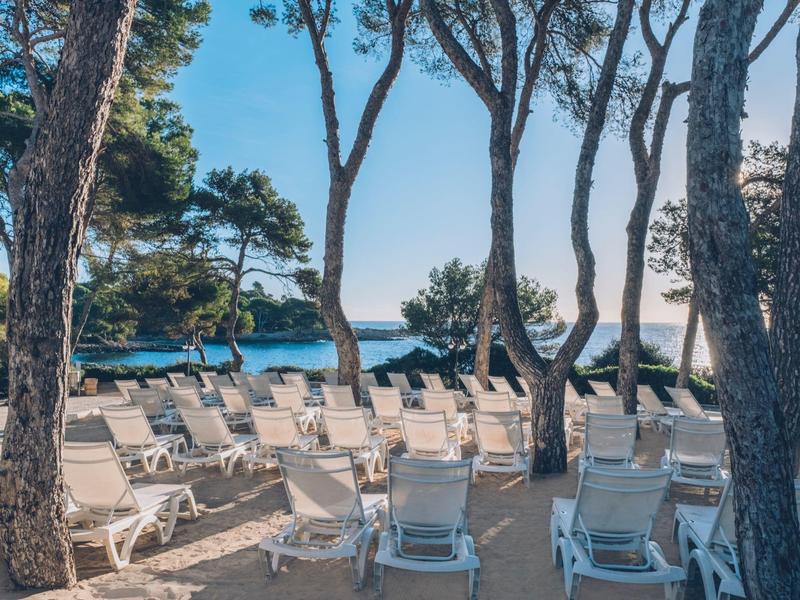 Puste leżaki pod drzewami z widokiem na morze w słoneczny dzień.