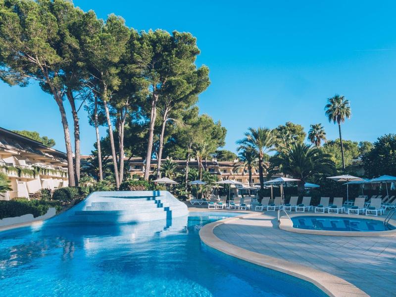 Basen hotelowy z leżakami, parasolami i wysokimi drzewami pod bezchmurnym niebem