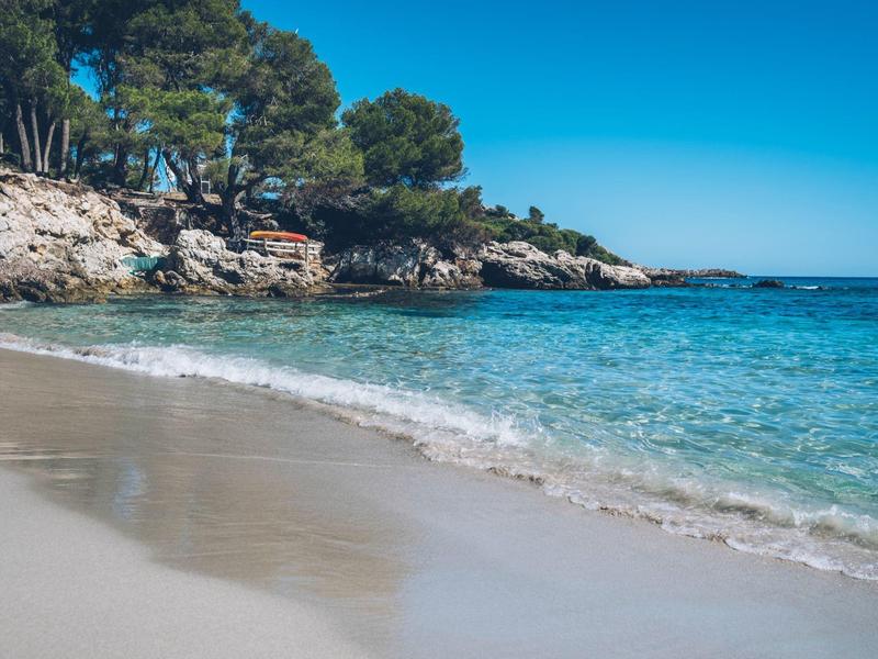 Jasne, niebieskie niebo nad spokojną plażą z turkusową wodą i skałami z drzewami.