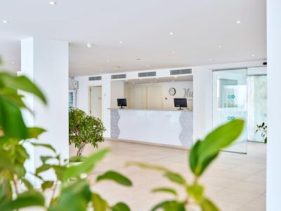 Heller, moderner Hotelempfang mit weißem Tresen und grünen Pflanzen im Vordergrund.