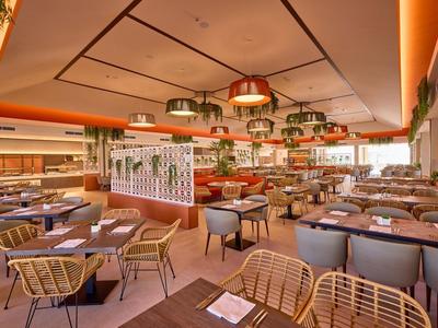 Modern, bright restaurant with wicker chairs and decorative plants hanging from the ceiling.