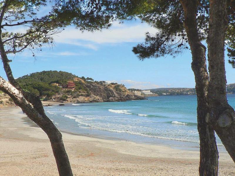 Bright modern hotel restaurant with wooden tables, chairs, and decorative plants.
