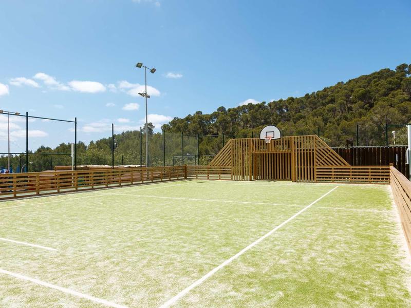 Leerer Sportplatz mit Kunstrasen, Basketballkorb, Holzzäunen und Wald im Hintergrund.