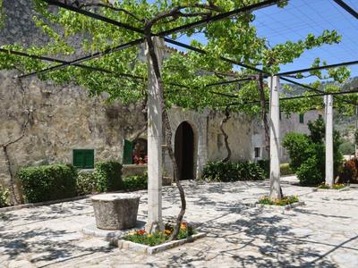 Dziedziniec z pniami drzew i zielonymi liśćmi przed starą kamienną ścianą pod błękitnym niebem.