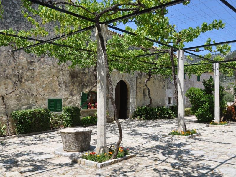 Dziedziniec z pniami drzew i zielonymi liśćmi przed starą kamienną ścianą pod błękitnym niebem.