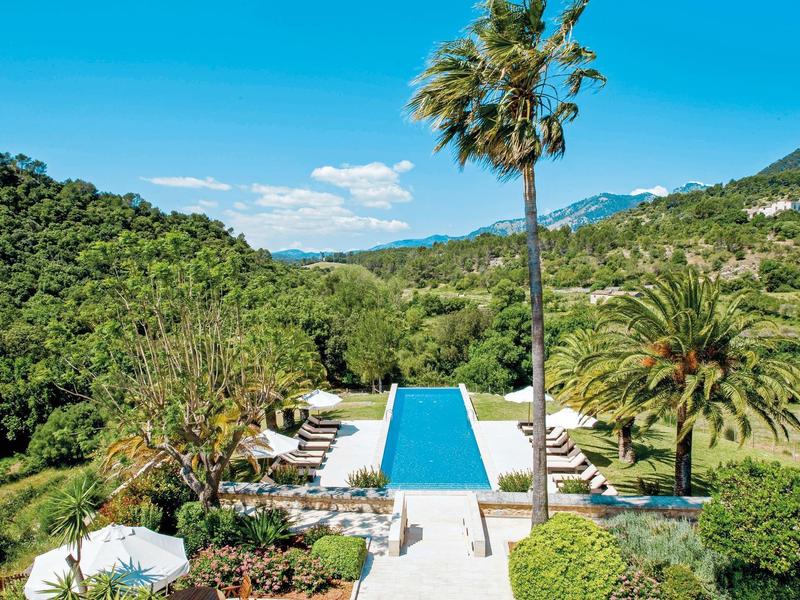 Długi basen z palmami na zielonym tle pod niebieskim niebem.