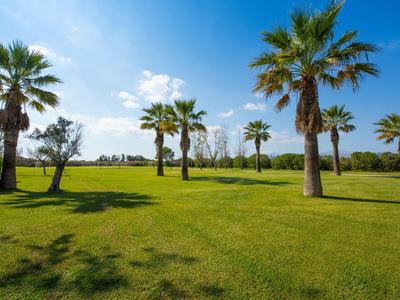 Groen park met palmbomen onder een blauwe lucht met enkele wolken.
