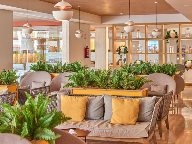 Světlý salonek s pohodlnými pohovkami, zelenými rostlinami a teplou dřevěnou výzdobou