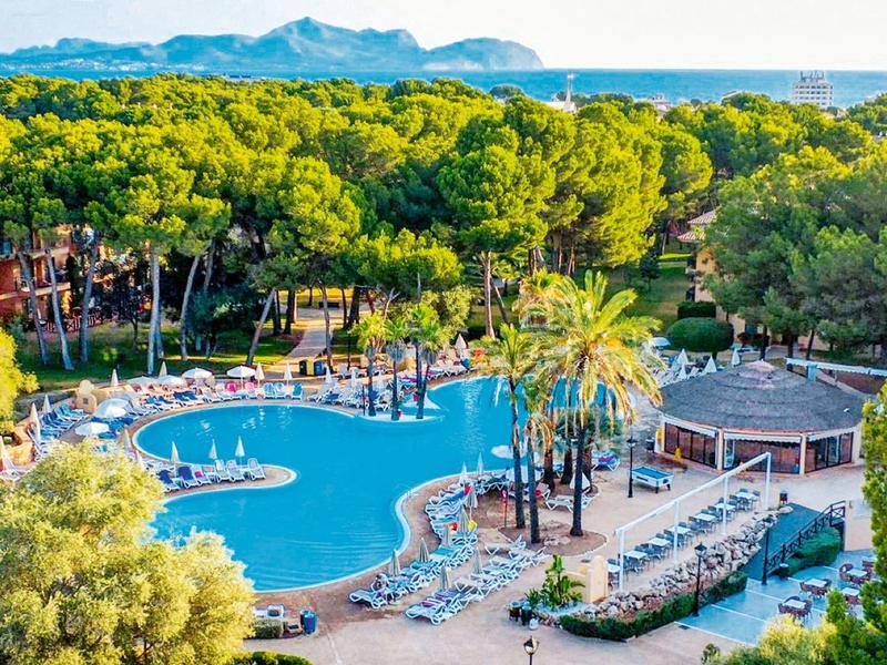 Gran piscina de hotel con tumbonas, rodeada de árboles verdes y vista al mar al fondo.
