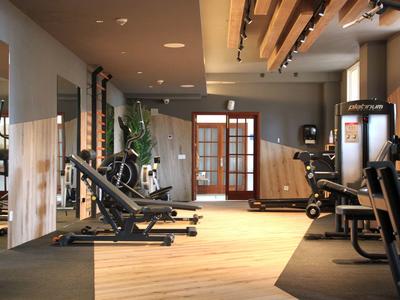 Moderner Fitnessraum mit Trainingsgeräten, Holzboden und großen Fenstern für Tageslicht.