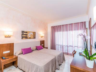 Camera d'albergo luminosa con due letti singoli, cuscini e tende viola, scrivania e piante.