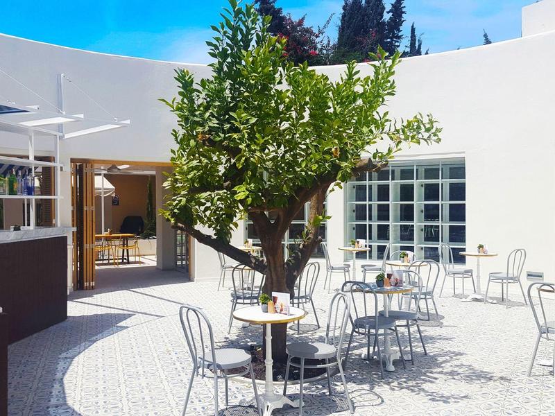 Terrasse ensoleillée avec tables et chaises en métal autour d'un arbre au centre.