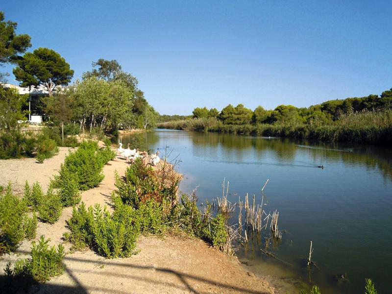 Říční břeh s zeleným keřím a jasně modrou oblohou v pozadí.