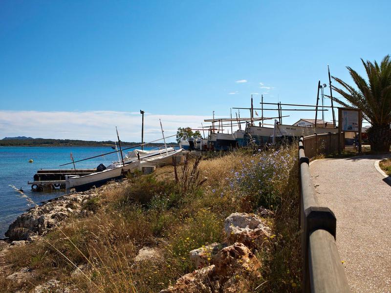 Ścieżka nadmorska z palmami obok spokojnej wody i łodzi pod niebieskim niebem