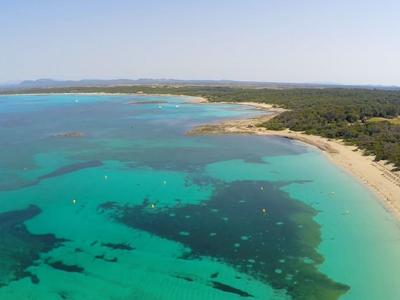 Luchtfoto van een zandstrand met turquoise water en bos achter de kust.