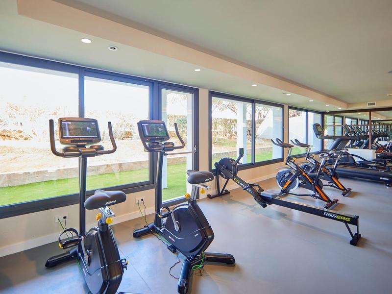 Modern gym with exercise bikes and rowing machines by large windows with outdoor views.