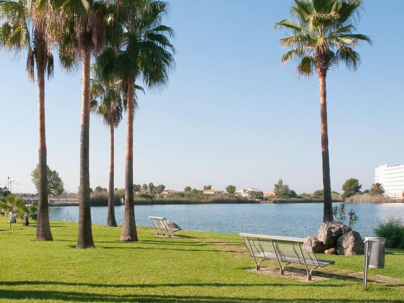 Prato verde con palme e panchine sulla riva di un lago tranquillo sotto un cielo azzurro.
