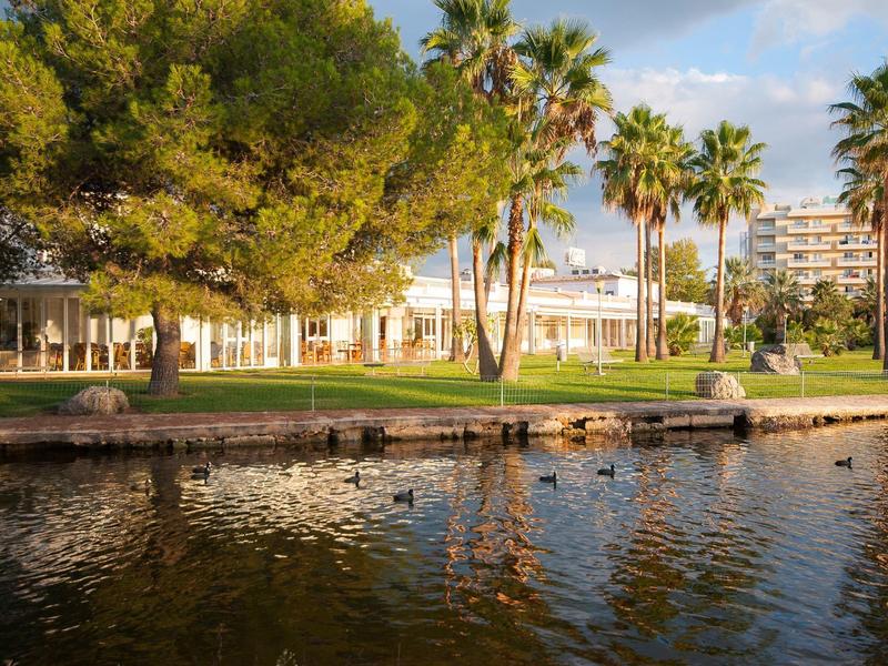 Lago con anatre, prato verde e palme davanti a un edificio soleggiato.