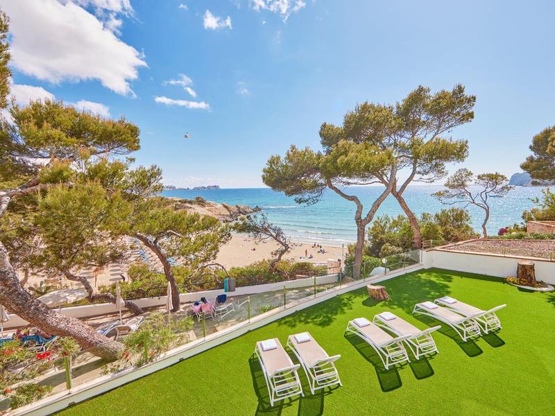 Widok na plażę z leżakami na zielonej trawie i sosnami na pierwszym planie.