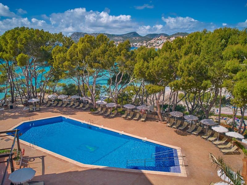 Basen na świeżym powietrzu otoczony leżakami i sosnami z widokiem na morze pod niebieskim niebem.