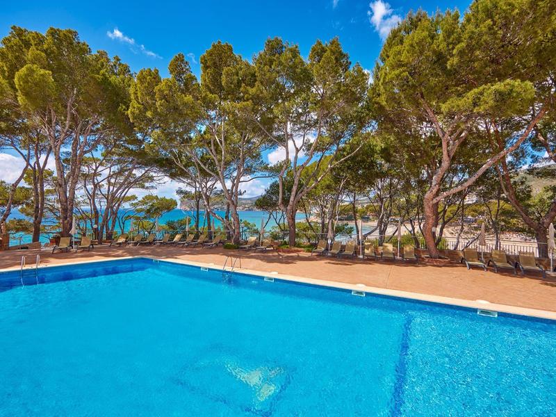 Niebieski basen obok sosen z widokiem na morze pod niebieskim niebem.