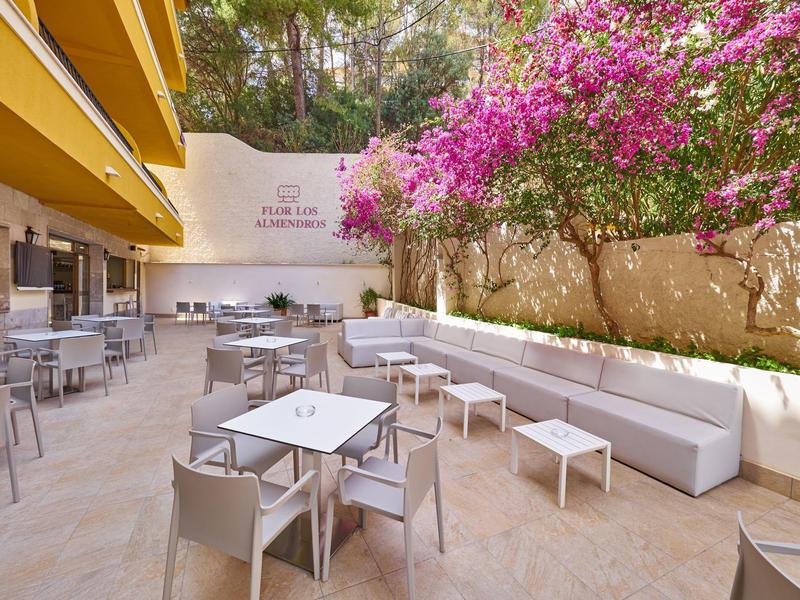 Przestronny taras z miejscami do siedzenia i kwitnącym drzewem obok budynku hotelu.