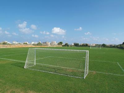 Grünes Fußballfeld mit Tor, blauem Himmel und Wolken, Häusern und Bäumen im Hintergrund.