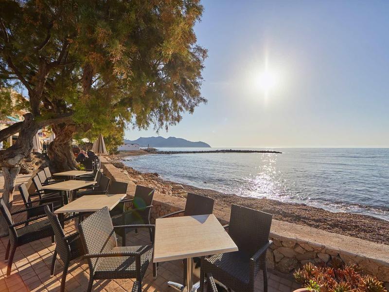 Strand mit Sonnenlicht, Meer, Tischen und Stühlen im Schatten eines großen Baums.